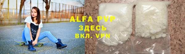 прущие грибы Елабуга