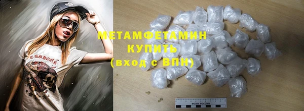 прущие грибы Елабуга