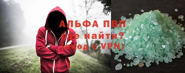 прущие грибы Елабуга