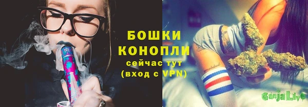 прущие грибы Елабуга