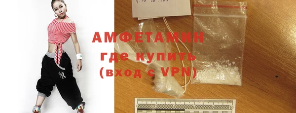 прущие грибы Елабуга