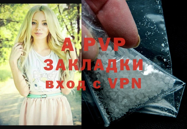 прущие грибы Елабуга