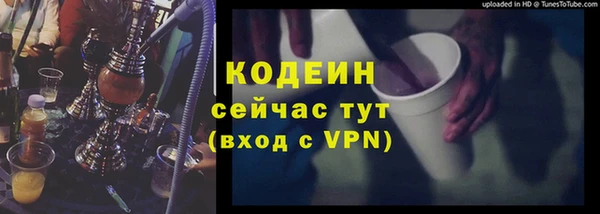 прущие грибы Елабуга