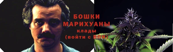 альфа пвп Елизово