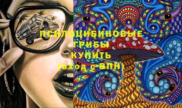 альфа пвп Елизово
