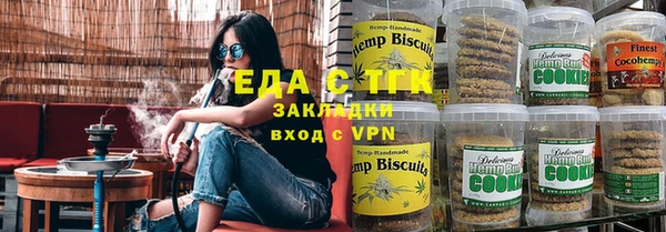 прущие грибы Елабуга