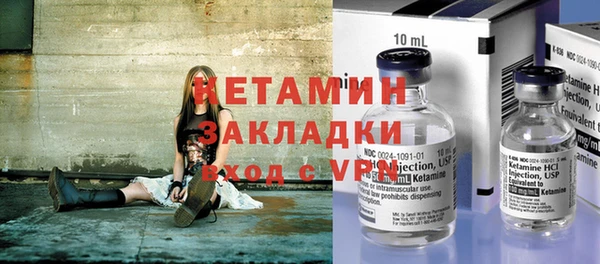 прущие грибы Елабуга