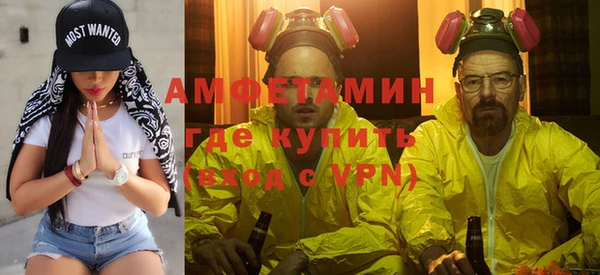 прущие грибы Елабуга