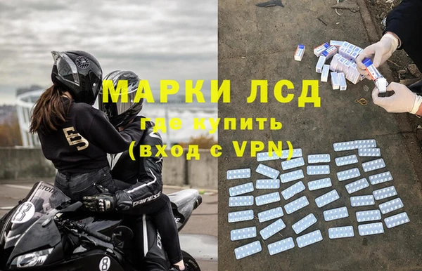 прущие грибы Елабуга