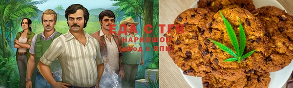 прущие грибы Елабуга