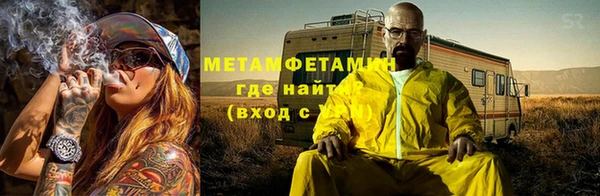 прущие грибы Елабуга