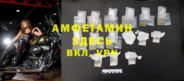 прущие грибы Елабуга