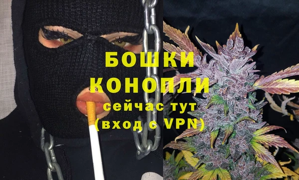 прущие грибы Елабуга