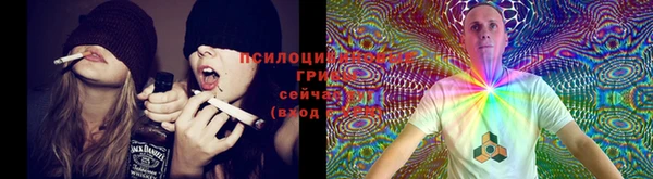 альфа пвп Елизово