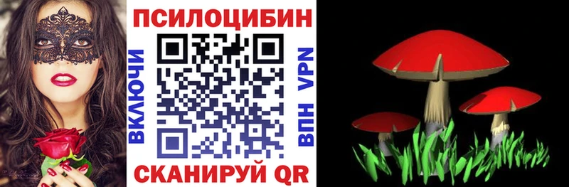 Купить закладки  Суджа  Псилоцибиновые грибы мухоморы 